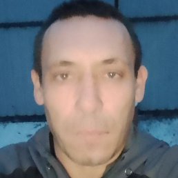 ��������, ����, 40 ���