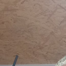 ������, ����, 50 ���