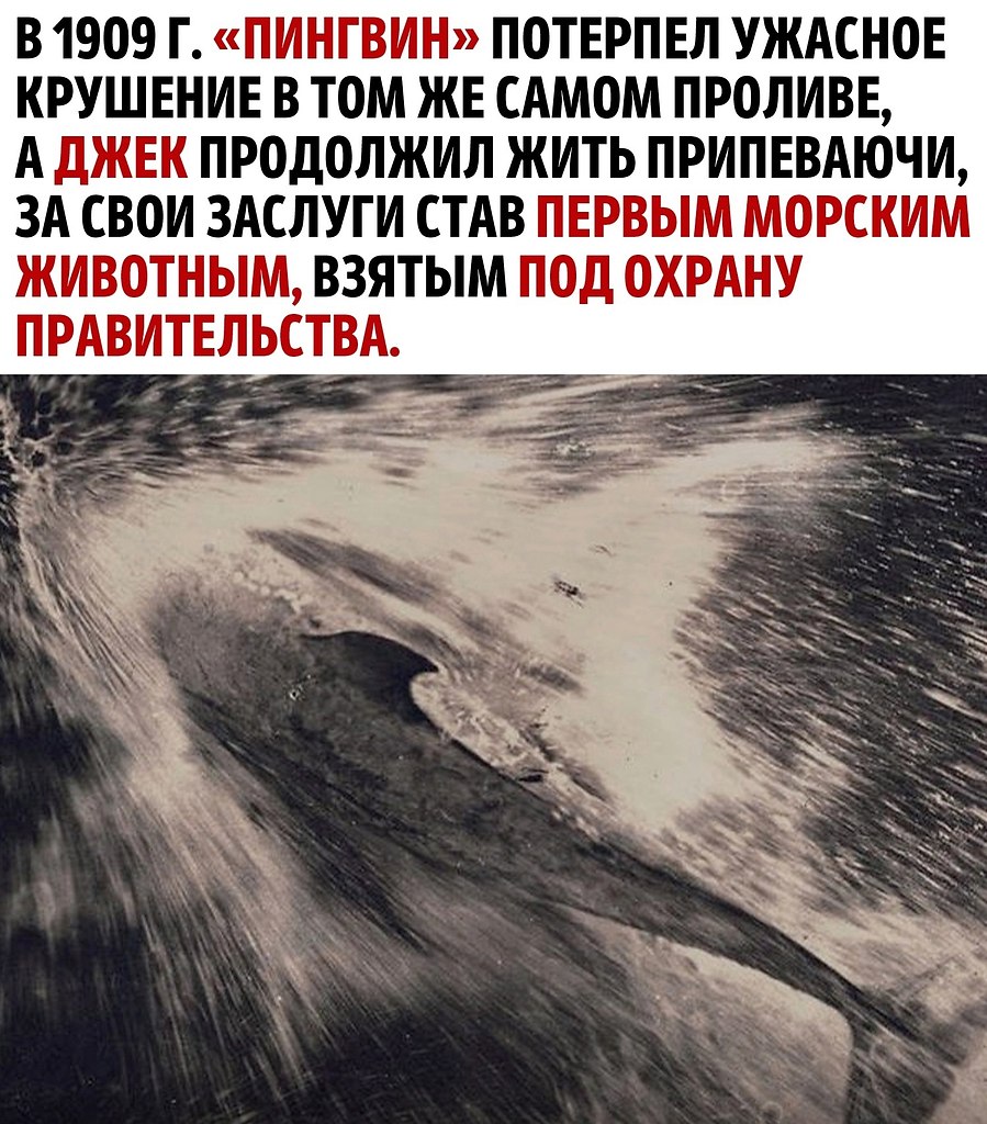     - 3