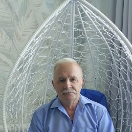 , 61, 