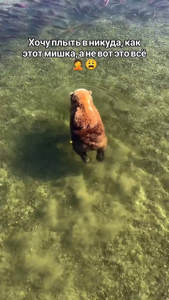 ����� ������ �� � ������, � �� ������)