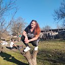 ���� �������, ����� �������, 37 ��� - ��������� 2 ������ 2026 � ������ ���� ����������