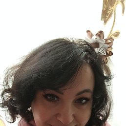 , 53, 
