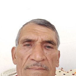 , 65, 