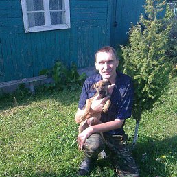 ��������, 49 ���, ������