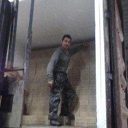 �������, �����, 49 ���