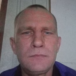 ����, �������-���������, 48 ���