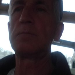 , 61, 