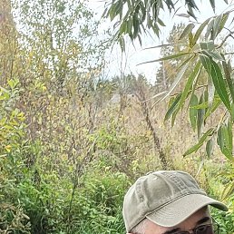 �������, ��������, 59 ���