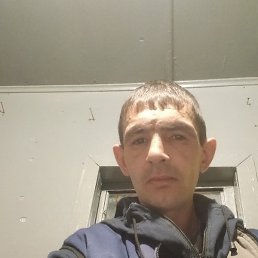 ����, ��������, 38 ���