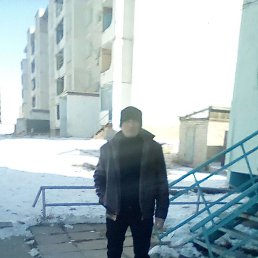 ����, ����, 41 ���