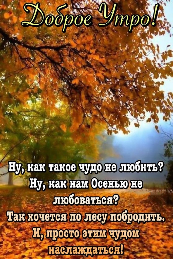Всё будет хорошо! - 19 сентября 2025 в 09:51