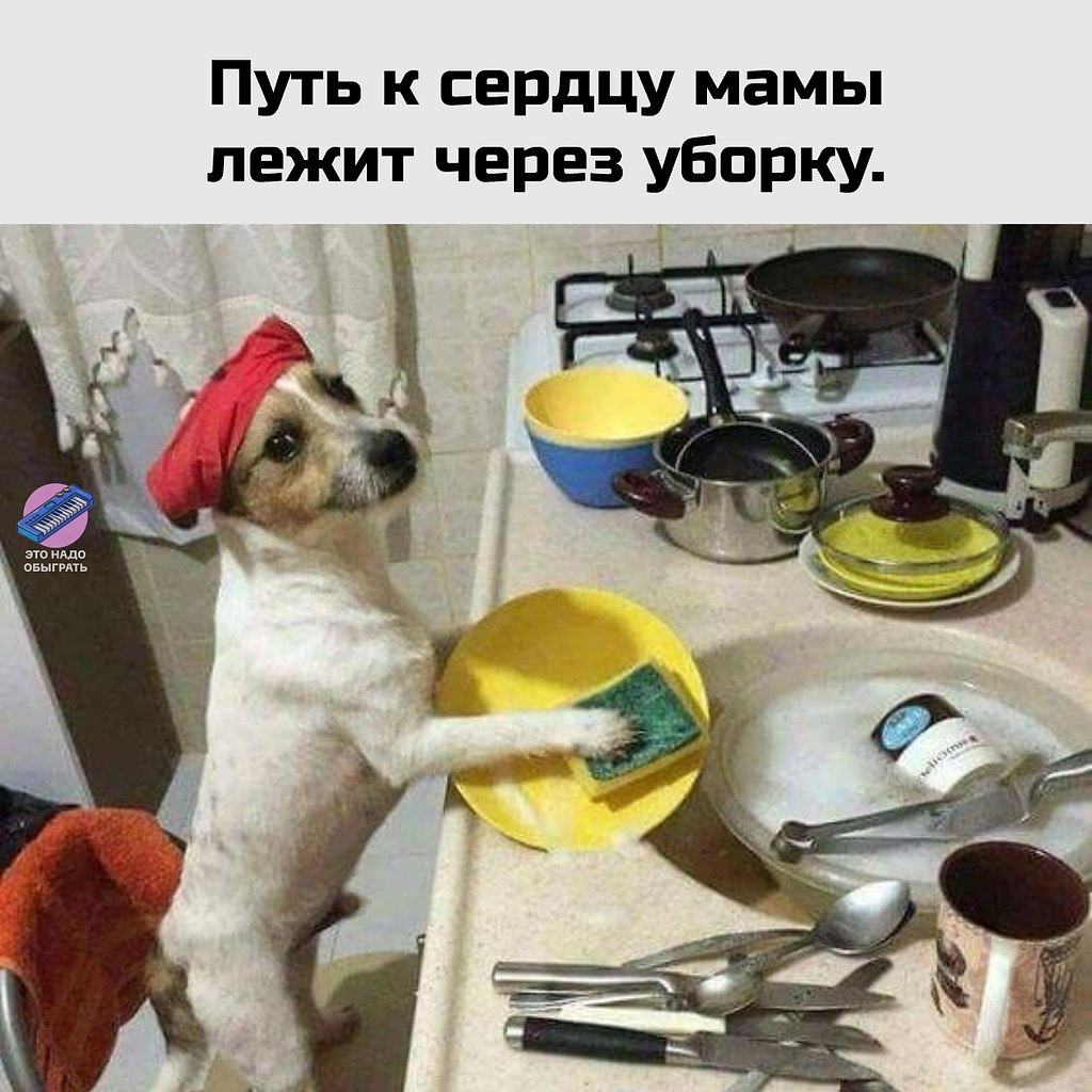   - 10  2025  20:29