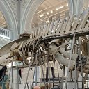 ���� �������, ��������, 69 ��� - ��������� 27 ������ 2025 � ������ ���� ����������