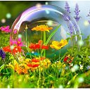 ���� �����, ������, 39 ��� - ��������� 24 ������ 2025 � ������ ���� ����������