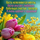 ���� ����� ***, ������� - ��������� 8 ����� 2026 � ������ ������ ��������