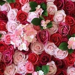 �����, ���������, 37 ���