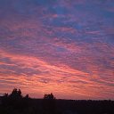 ���� Rozaliya, �������, 34 ���� - ��������� 3 ������ 2026