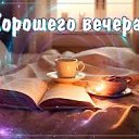 ���� Chernika, ������� - ��������� 11 ������ 2026 � ������ ������ ��������