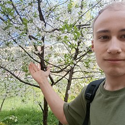 , 20, 