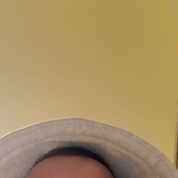 , 37, 