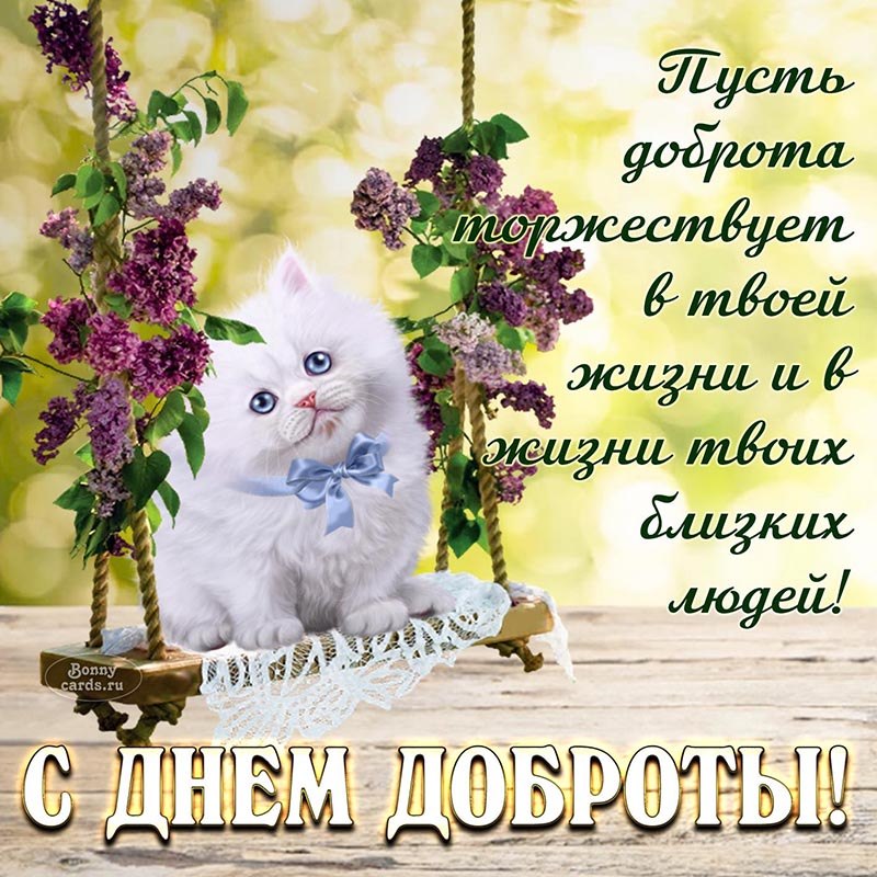  - 13  2024  20:56