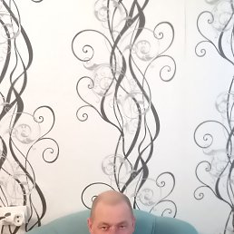 ����, 49 ���, ���������