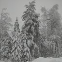  ,  , 63  -  6  2025    