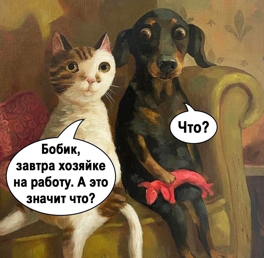 Пушистые засранцы