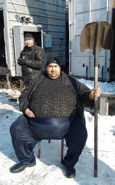   -     . - 5