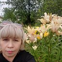 ���� ���, ���������, 56 ��� - ��������� 12 ������� 2025 � ������ ���� ����������