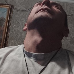 ��������� �������, 41 ���, ������ �����