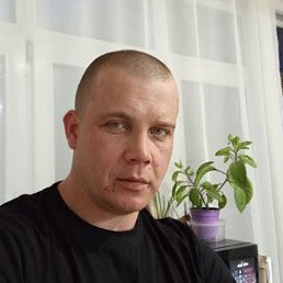 ��������, ����������, 36 ���