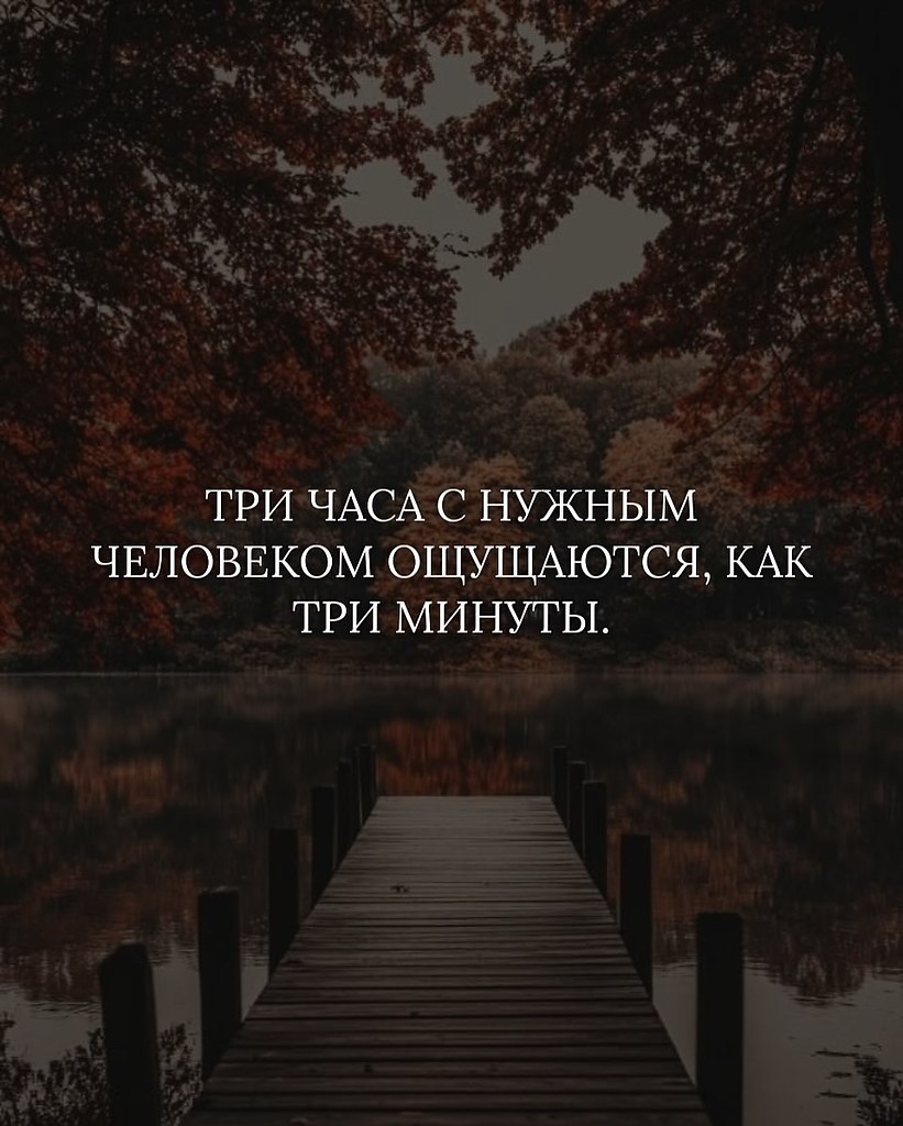   - 12  2025  15:33 - 8