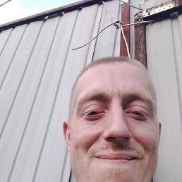 , 32, 