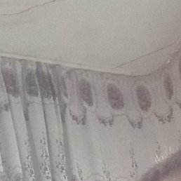 ����, ������, 41 ���