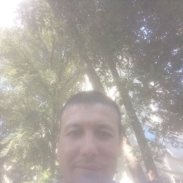 , 36, 