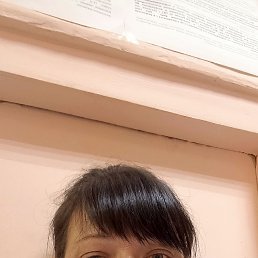 , 41, 