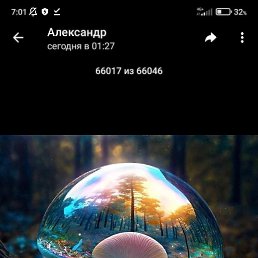 �����, ������, 39 ���