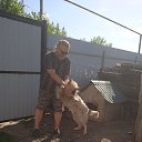 ���� ��������, ���������, 62 ���� - ��������� 4 ���� 2026 � ������ ���� ����������