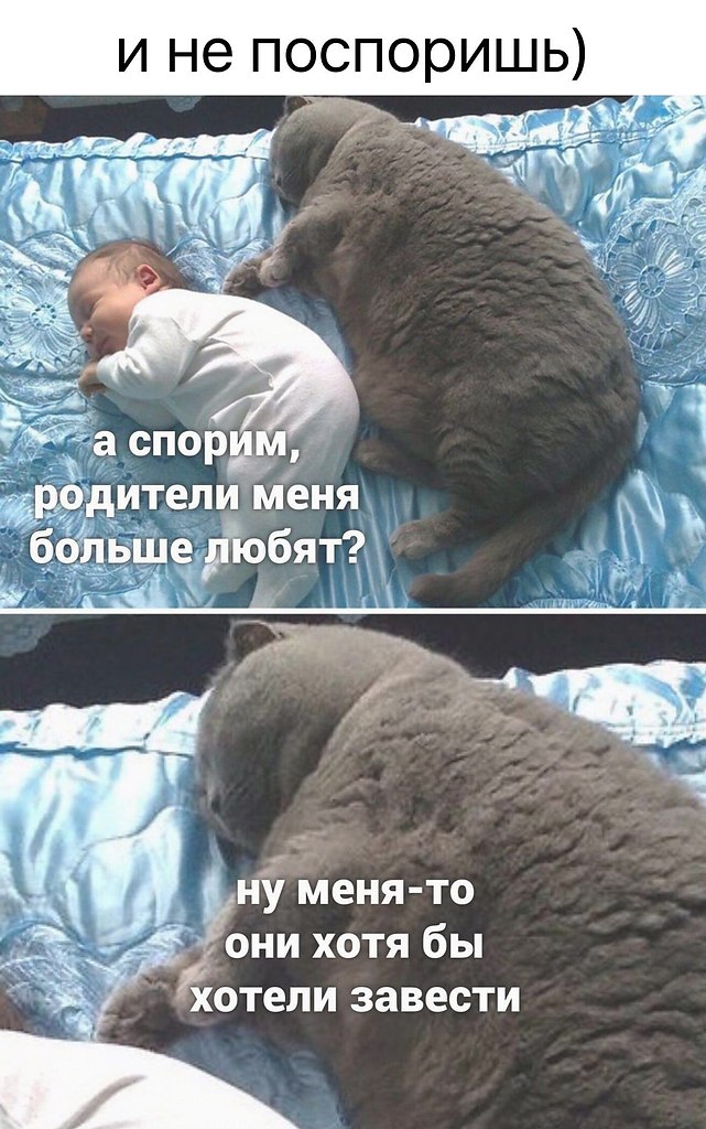    - 24  2024  22:42