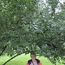 ���� �����, ���, 42 ���� - ��������� 20 ������� 2026