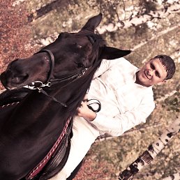 ���� ������, ����������, 49 ��� - ��������� 21 ����� 2026