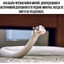 ���� �������, ��������, 55 ��� - ��������� 10 ��� 2025 � ������ ������ ��������