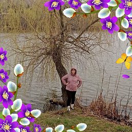 , 45, 