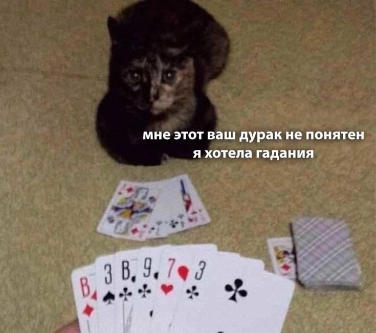          .  ,    ...