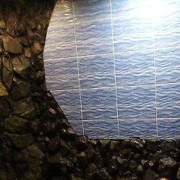 �������, ���, 38 ���