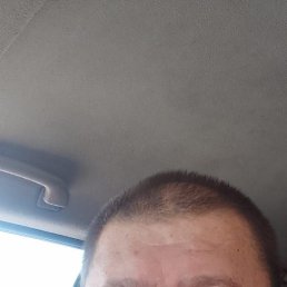, 48, 