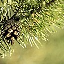 ���� �����, ������, 31 ��� - ��������� 30 ��� 2024 � ������ ���� ����������
