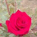 ���� ��������, ������, 59 ��� - ��������� 14 ������� 2024 � ������ ������